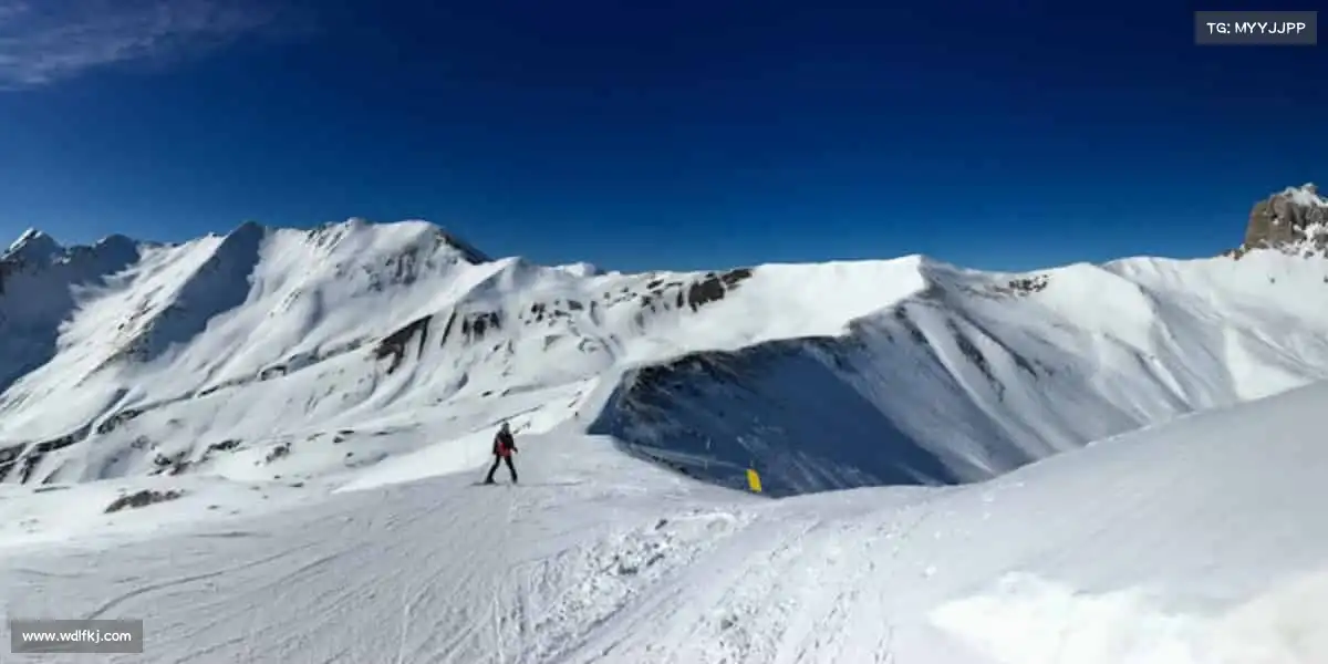 行业领先的理由